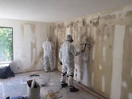 Why You Should Choose Our Mold Remediation Services in Lovington, NM